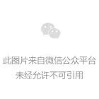小学生快乐神器